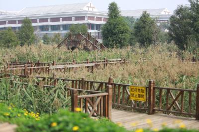 柳岩.最后未筛选