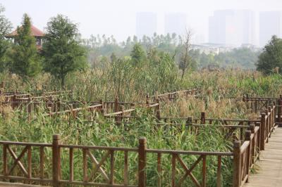 柳岩.最后未筛选