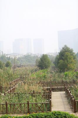 柳岩.最后未筛选