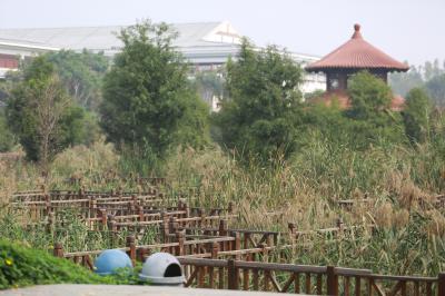 柳岩.最后未筛选