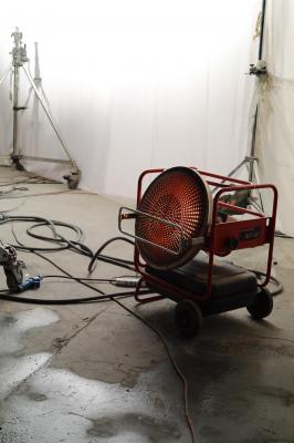 杨幂生图全集杨幂和猫