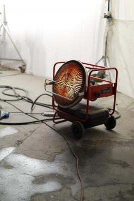 杨幂生图全集杨幂和猫