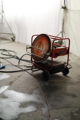 杨幂生图全集杨幂和猫