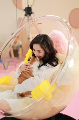 杨幂生图全集杨幂和猫