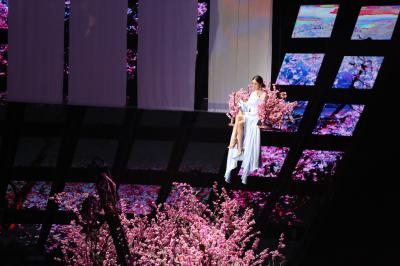 杨幂生图全集.杨幂跨年杨幂上海东方卫视跨年(1)