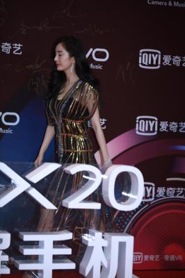 杨幂生图全集.杨幂金条长裙&周笔畅红毯