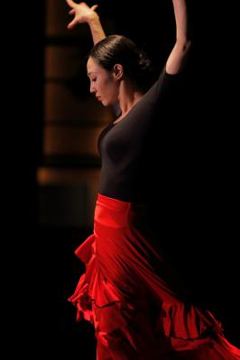 白百合.套餐白色裙子红毯