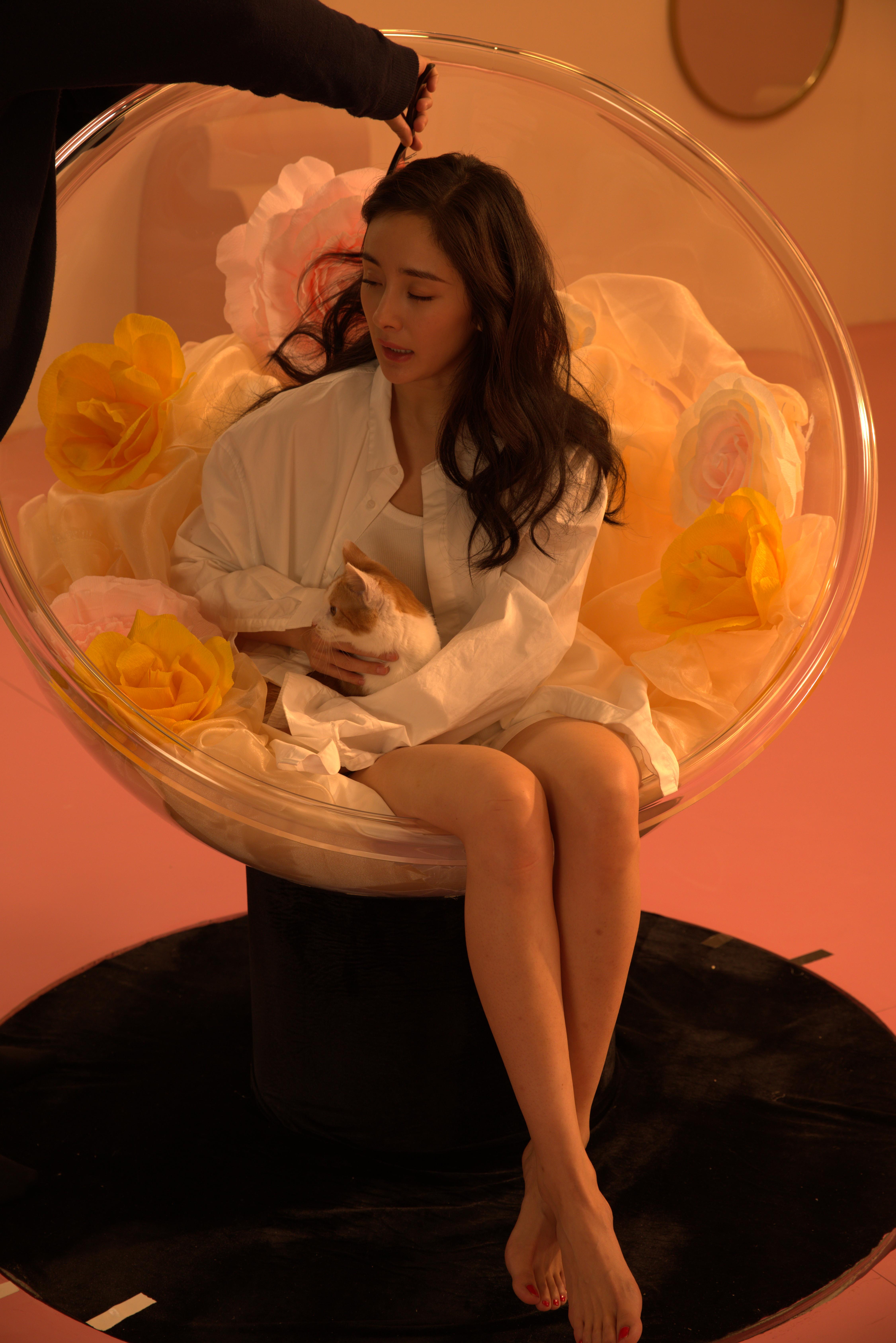 明星杨幂和猫cr2