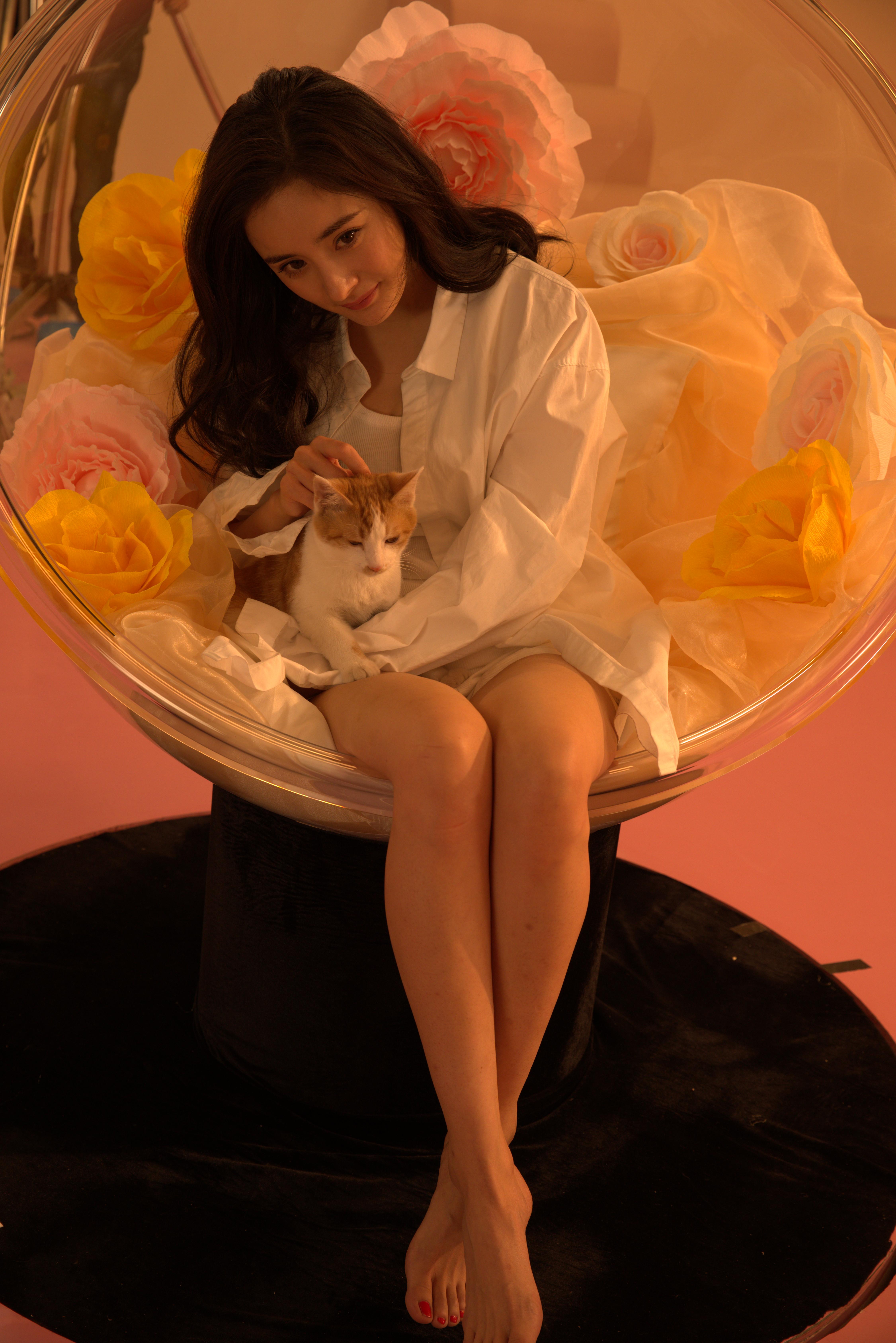 明星杨幂和猫cr2