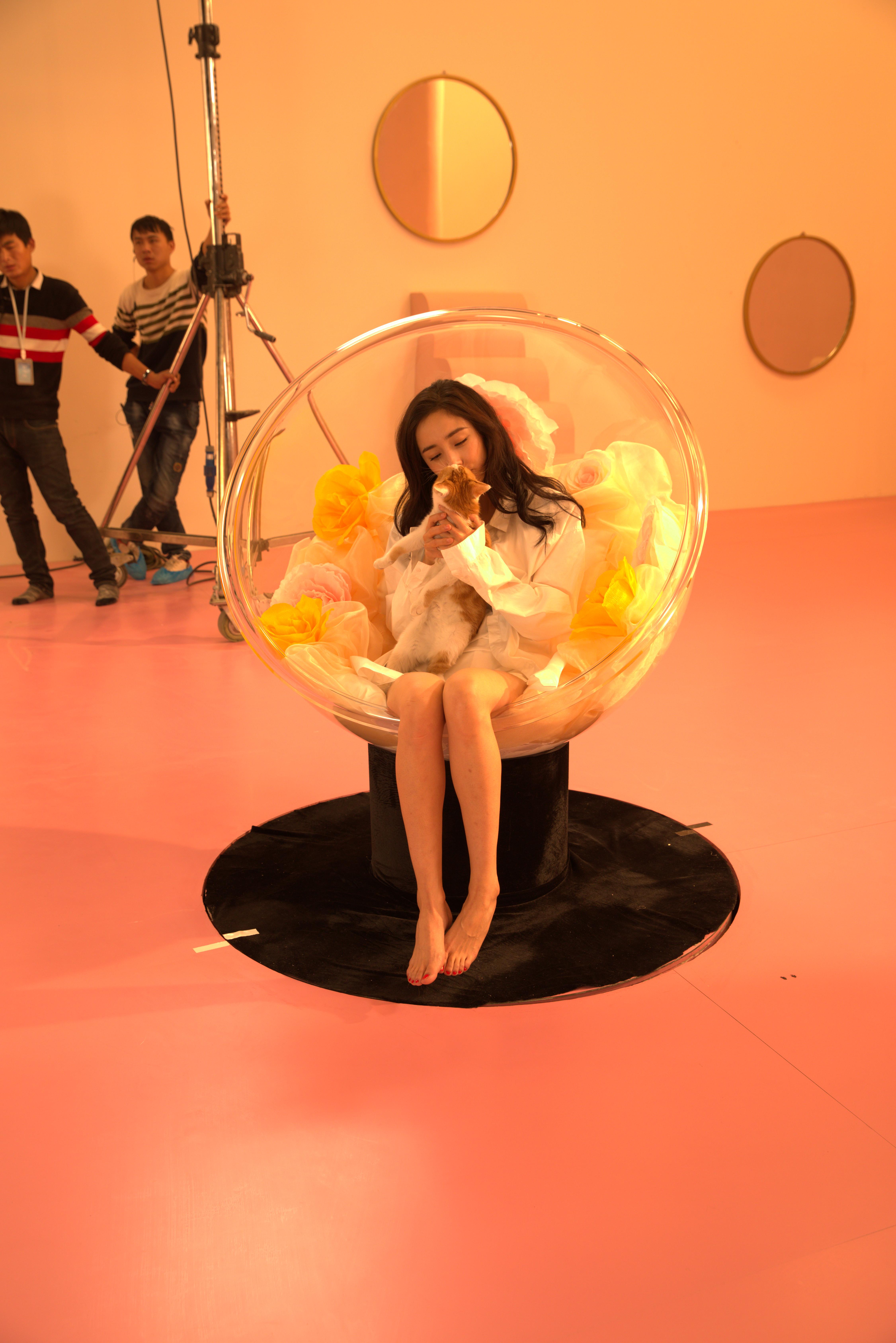 明星杨幂和猫cr2