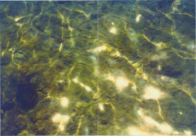 杨颖合集2杨颖 Paradise 写真-杨颖 Paradise 写真0143-01