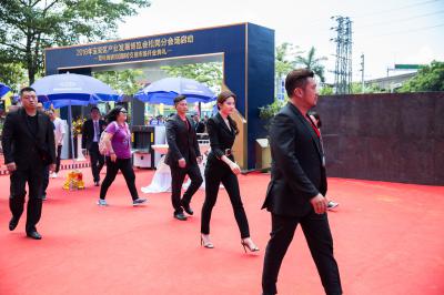 刘亦菲靓照-_Z8A0243