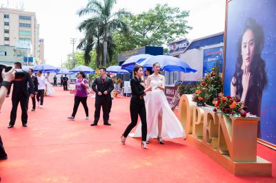 刘亦菲靓照-_Z8A0252