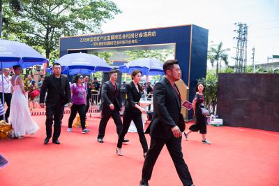 刘亦菲靓照-_Z8A0240