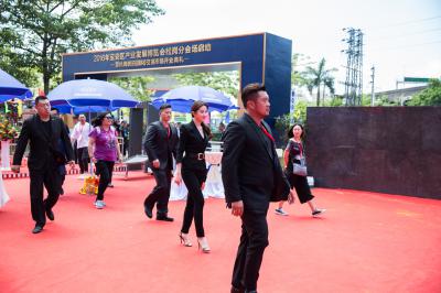 刘亦菲靓照-_Z8A0241