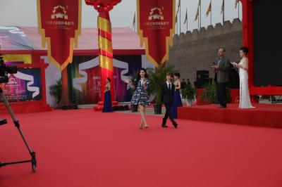 明星生图 范冰冰-CX5U9855.JPG